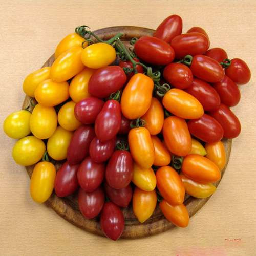 بذر گوجه فرنگی بیضی میکس