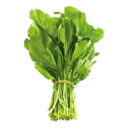 بذر شاهی برگ پهن