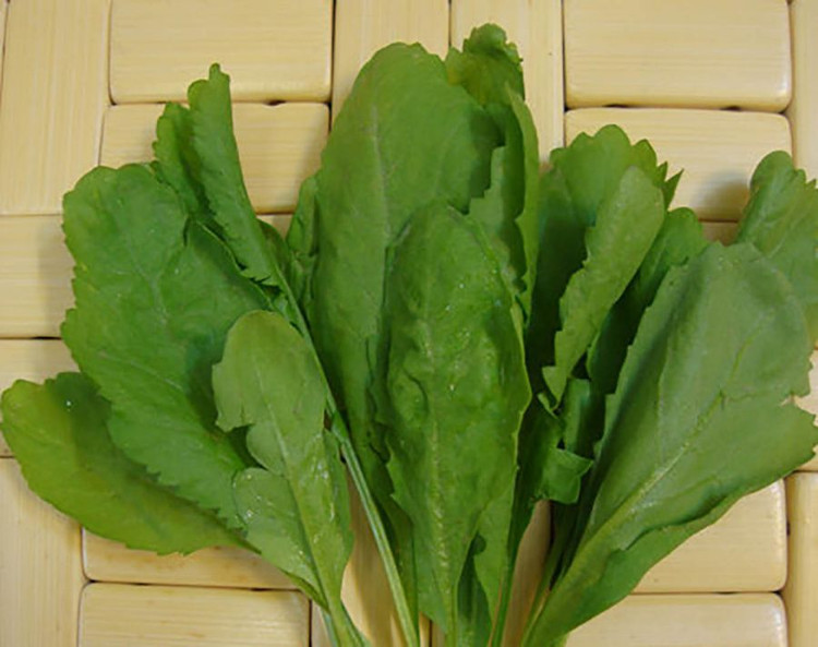 بذر شاهی