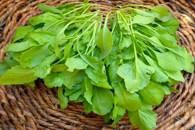 بذر شاهی