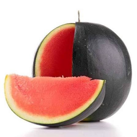 بذر هندوانه هیبرید گرانیت دونگیا چین F1