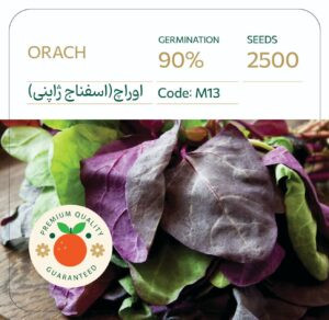 بذر اسفناج ژاپنی قرمز