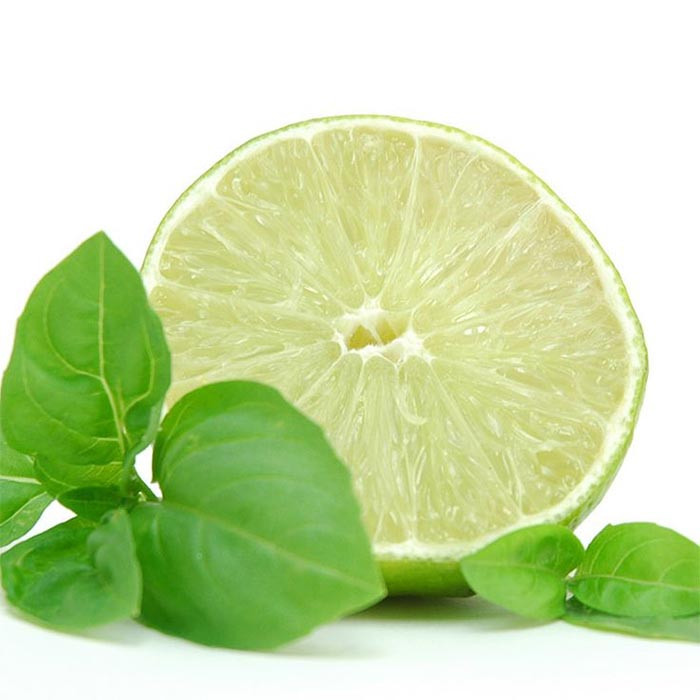 بذر ریحان لیمویی