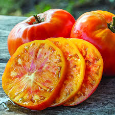 بذر گوجه غول آناناسی درختی