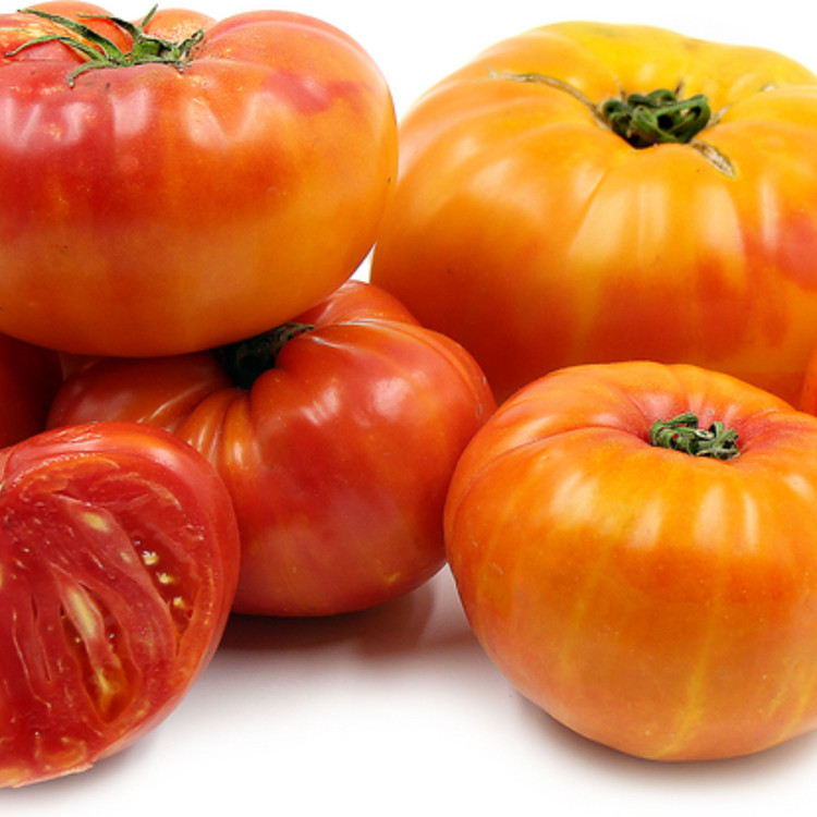 بذر گوجه غول آناناسی درختی