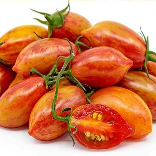 بذر گوجه زیتونی ببری (زبرا) زرد درختی