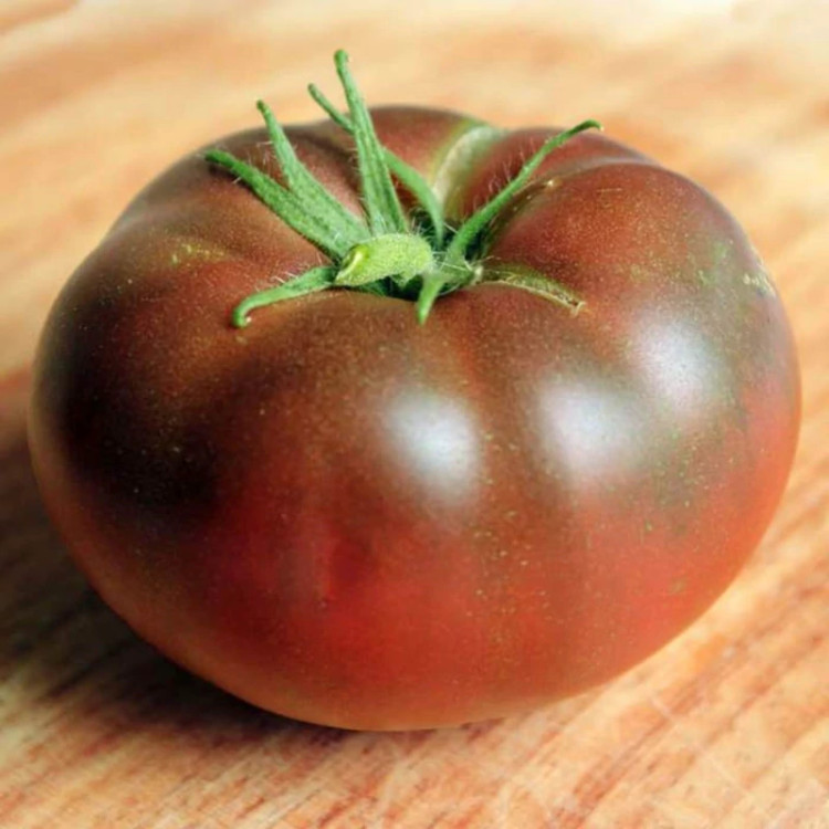 بذر گوجه فرنگی حنایی بوته ای