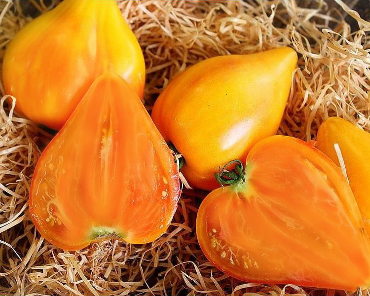 بذر گوجه قلبی نارنجی