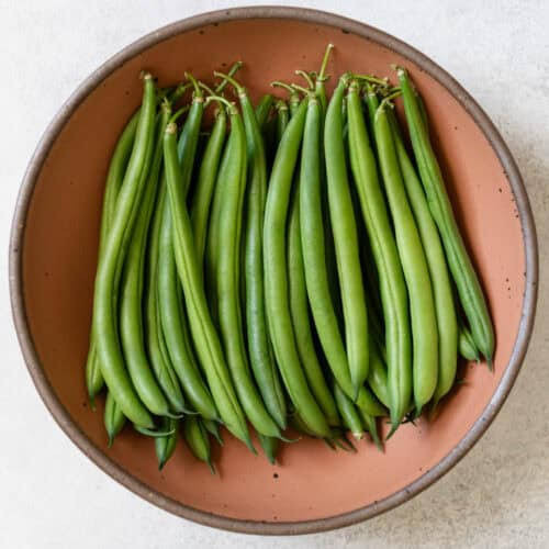 بذر لوبیا سبز سان ری بوته ای