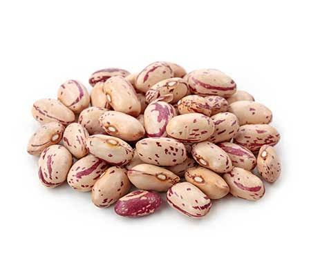 بذر لوبیا چیتی پاکوتاه اصلاح شده زودرس آمریکایی