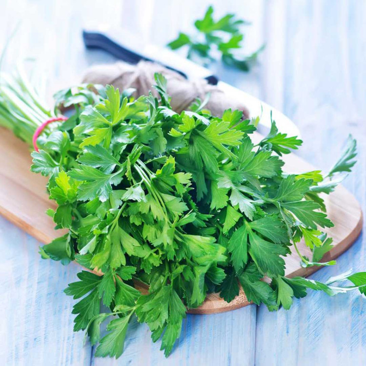 پک بذر سبزیجات پاییزه با تخفیف ویژه