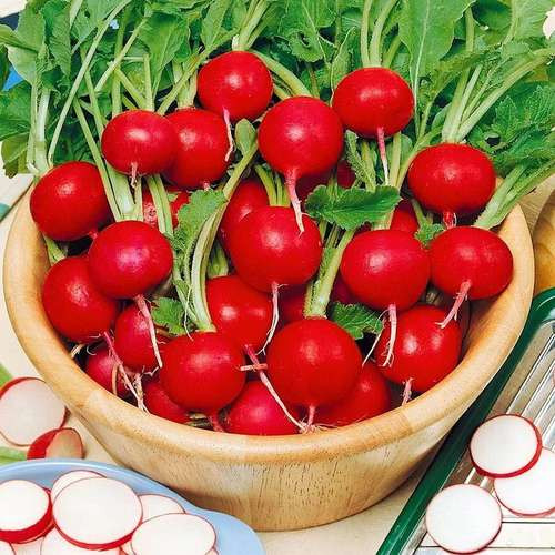 پک بذر سبزیجات پاییزه با تخفیف ویژه
