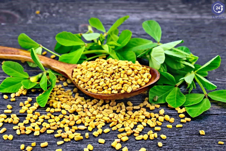 پک بذر سبزیجات پاییزه با تخفیف ویژه