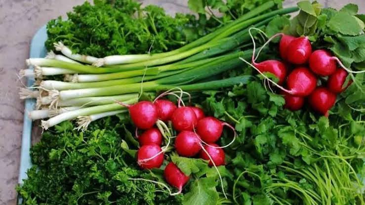 پک بذر سبزیجات پاییزه با تخفیف ویژه