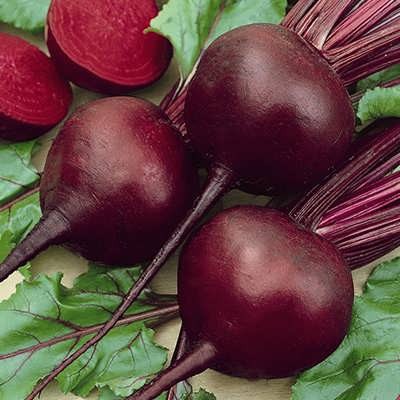 پک بذر صیفی جات پاییزه با تخفیف استثنایی