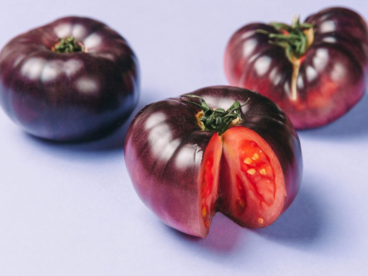 بذر گوجه فرنگی غول بنفش درختی