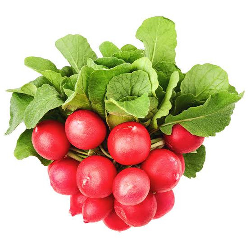 بذر تربچه هیبرید دابلین F1هلند زادن
