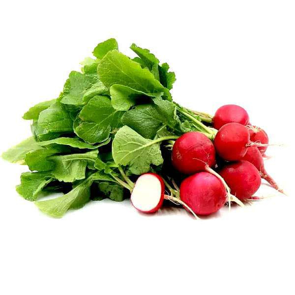 بذر تربچه چری بل مزرعه کوچک ترکیه