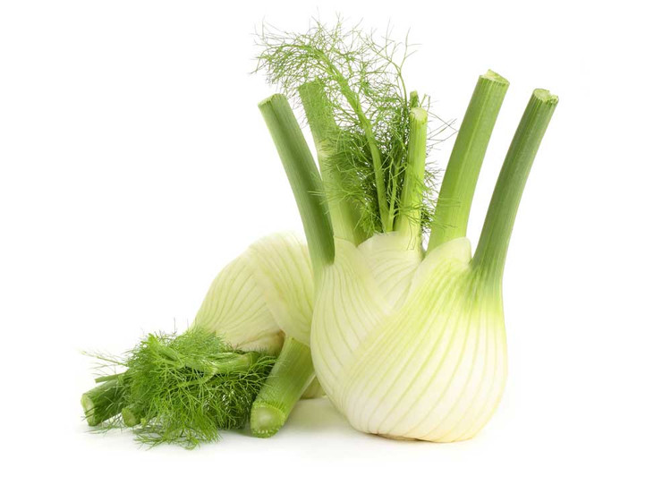 بذر رازیانه فنل