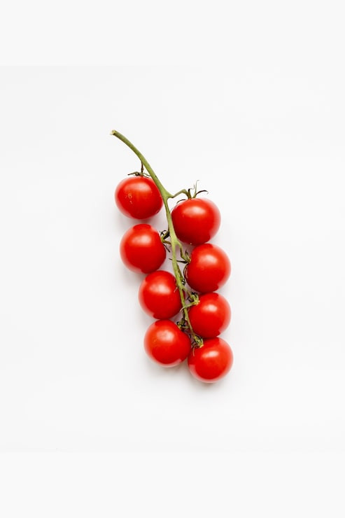 بذر گوجه گیلاسی قرمز درختی