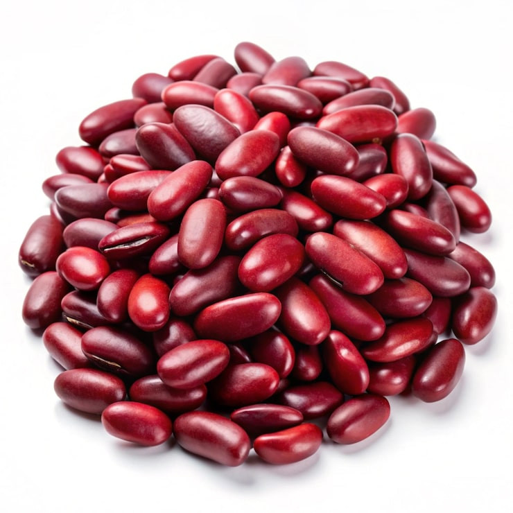 بذر لوبیا قرمز