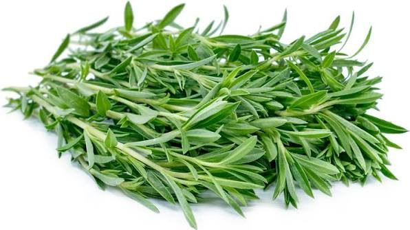 بذر سبزی مرزه