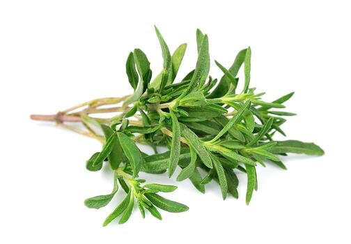 بذر سبزی مرزه