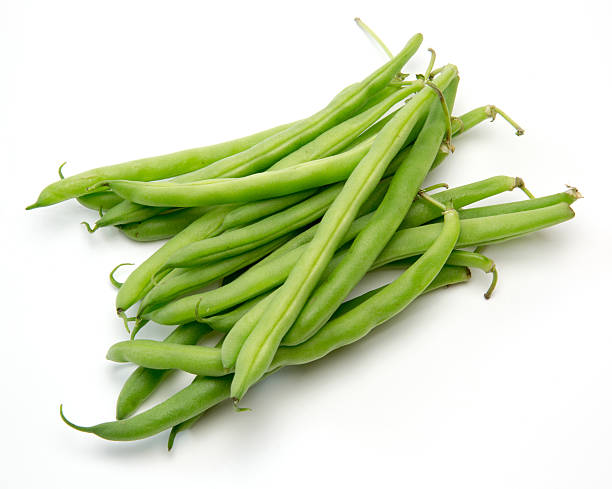 بذر لوبیا سبز سان ری بوته ای