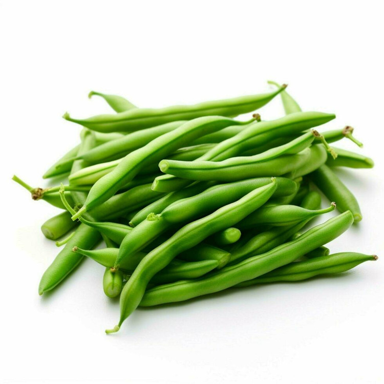 بذر لوبیا سبز سان ری بوته ای
