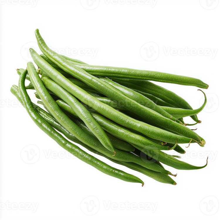 بذر لوبیا سبز سان ری بوته ای