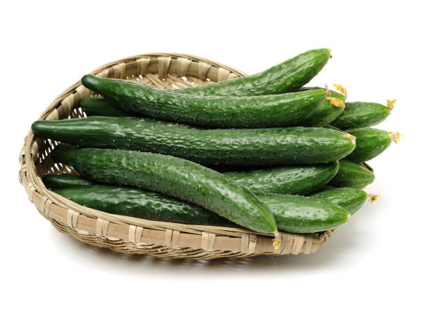 بذر خیار ژاپنی یاماتا مخصوص تهیه سوشی