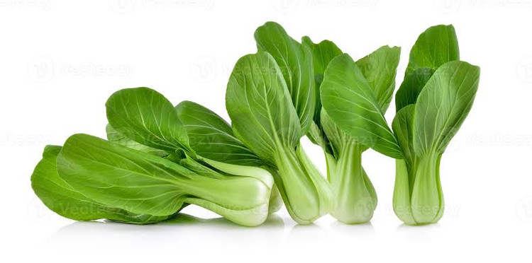 بذر کلم پاک چوی(کرفس چینی)