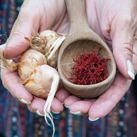 پیاز زعفران درشت طلای سرخ قائنات (بدون خاک و قارچ)