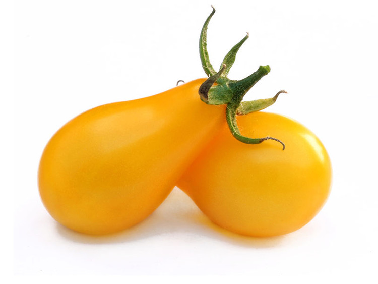 بذر گوجه گلابی زرد درختی