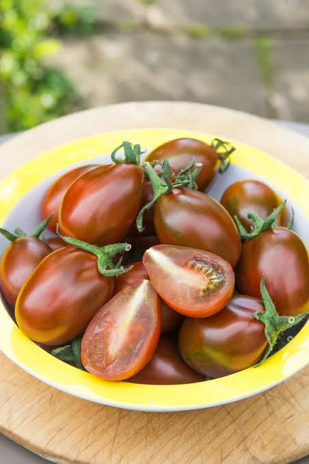 بذر گوجه گلابی شکلاتی درختی