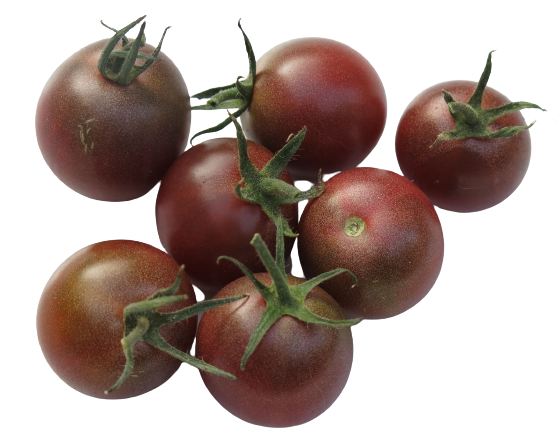 بذر گوجه گیلاسی چری شکلاتی