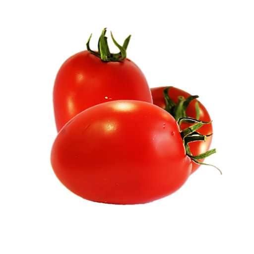 بذر گوجه فرنگی هیبرید پارس استار سیدزF1