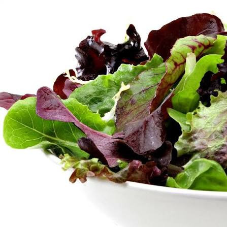 بذر کاهو بیبی (بره)میکس چهار فصل روکالبا اسپانیا