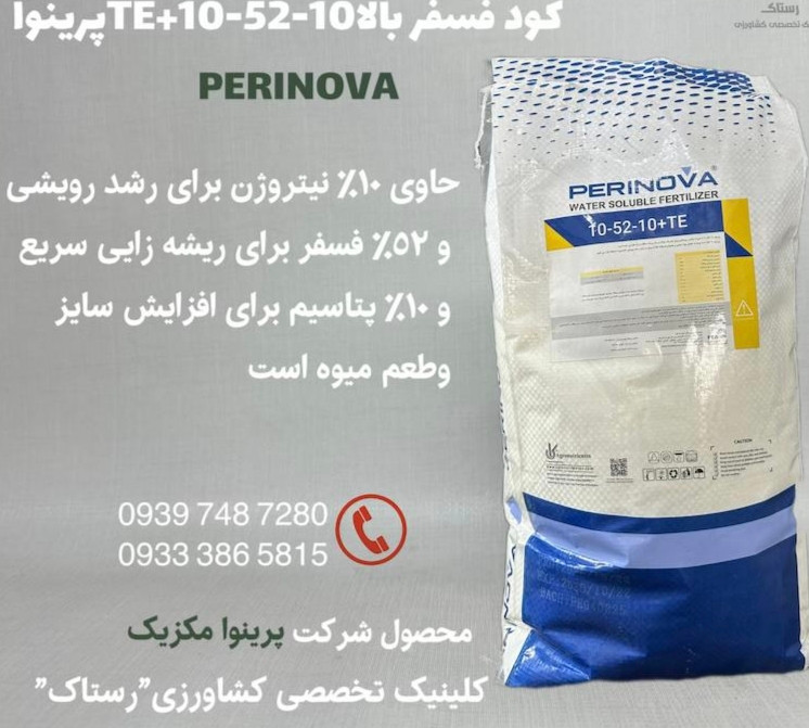 كود فسفر بالا 10-52-10+TEپرينوا مکزیک فسفر بالا مخصوص ریشه و پاجوش دهی