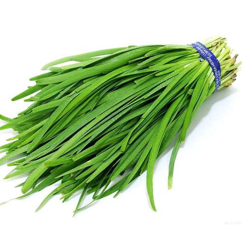 بذر کبار (تره محلی گیلان)